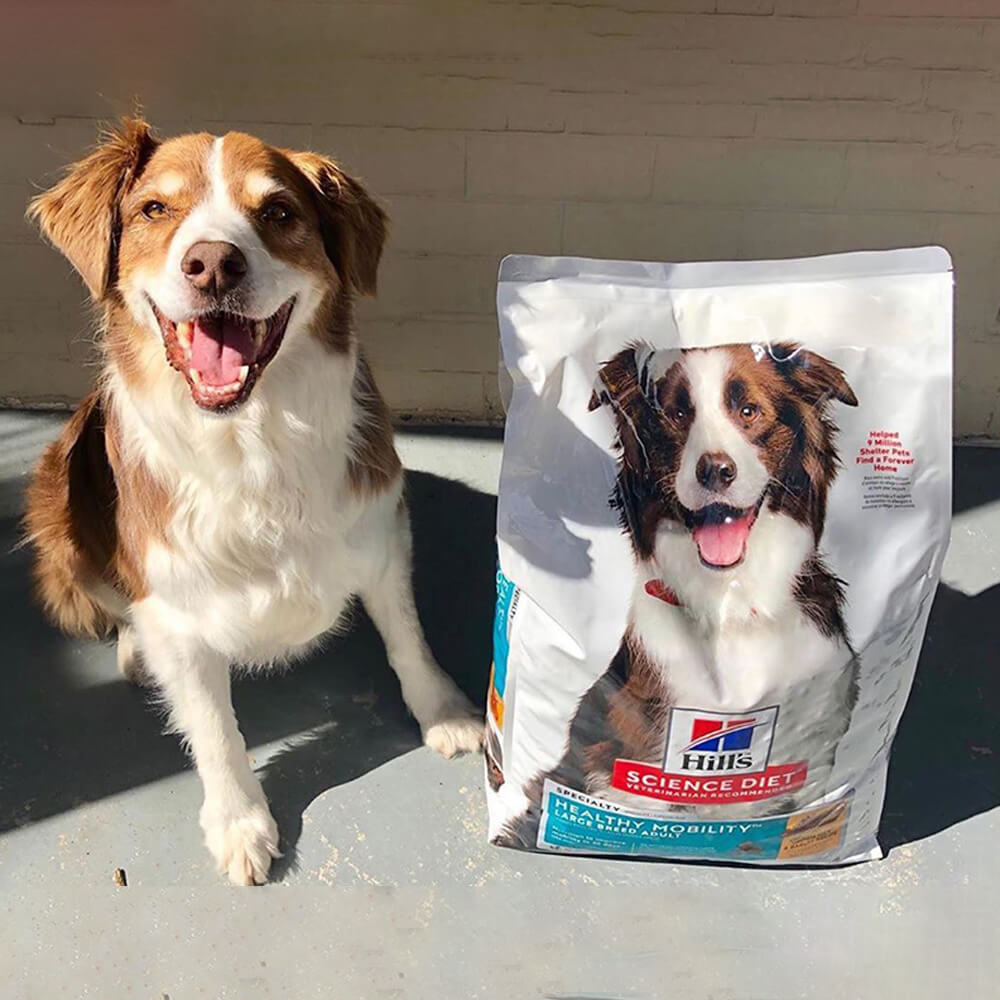 Pet food Packaging bag